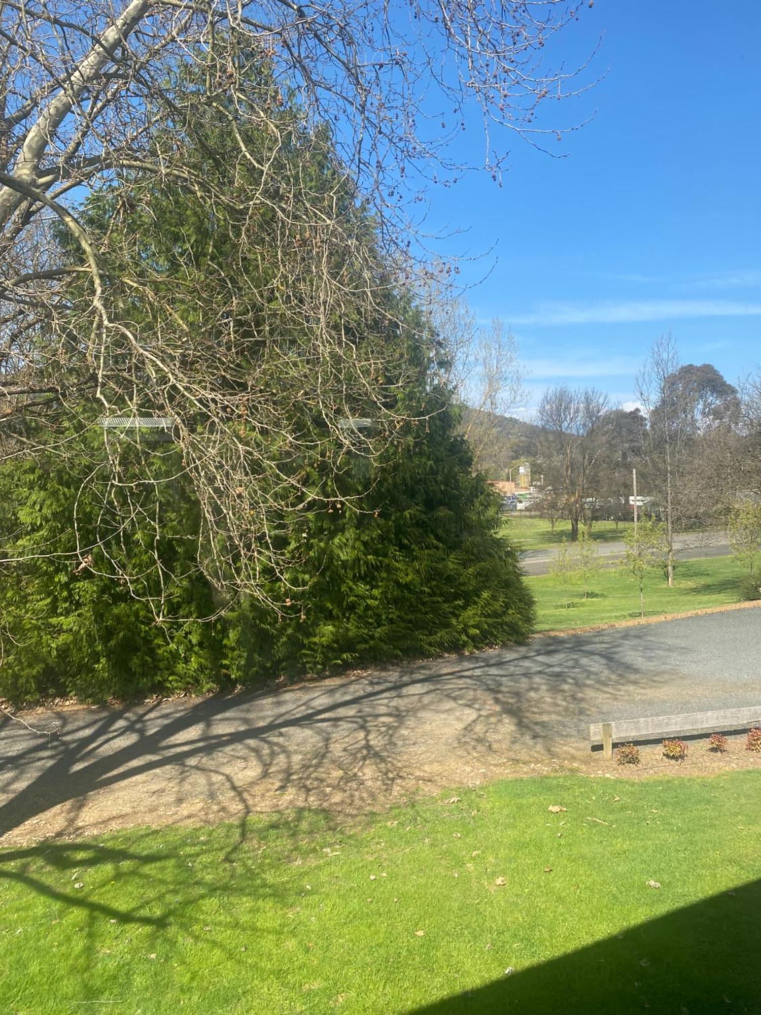 Tumbarumba Motel & Elms Restaurant Exteriér fotografie
